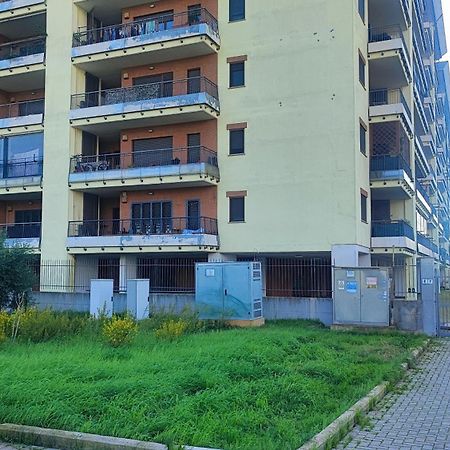 Love Home Apartament Near The Airport Fiumicino Exteriör bild